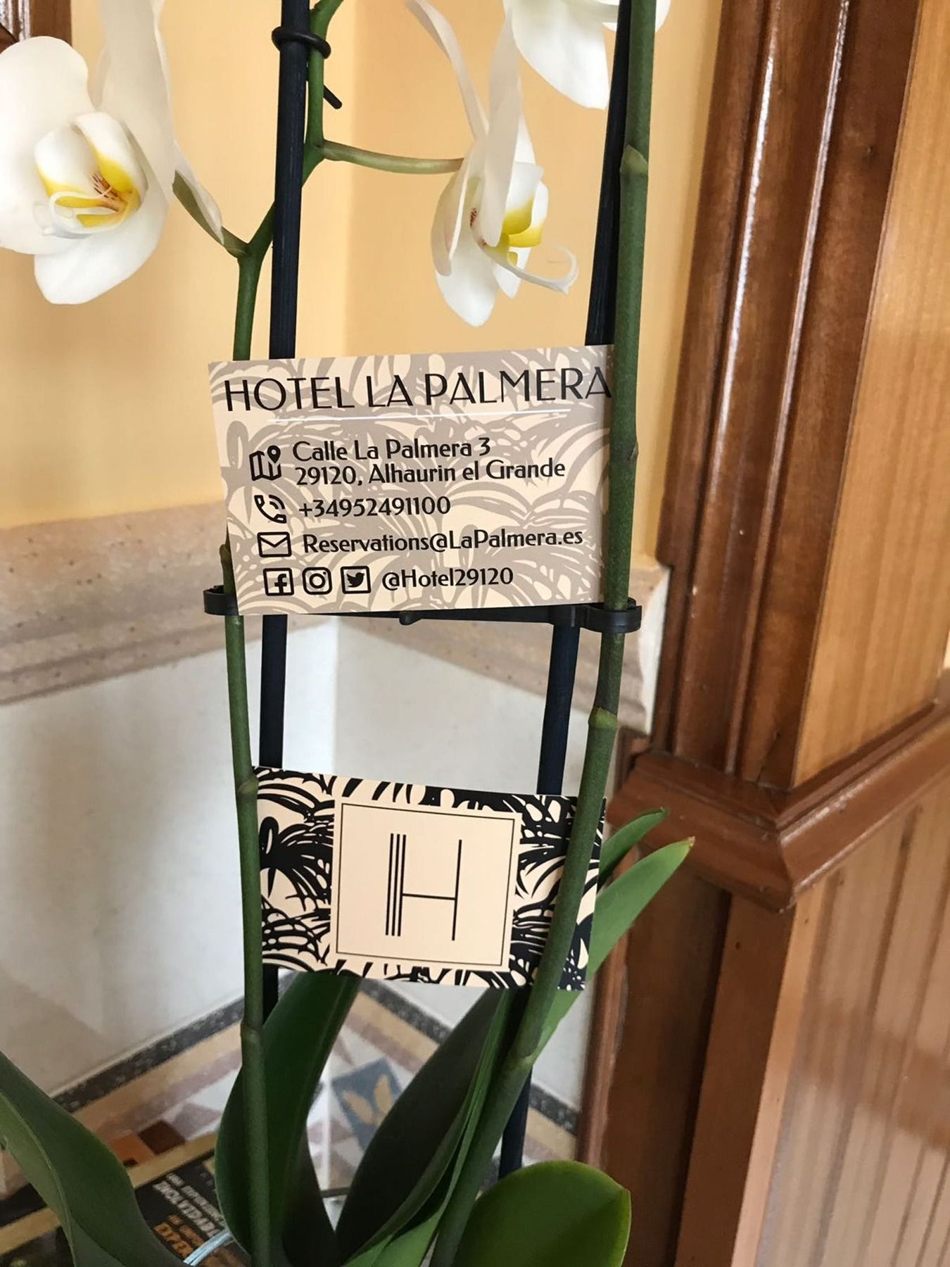 阿尔豪林格朗德La Palmera公寓式酒店 外观 照片